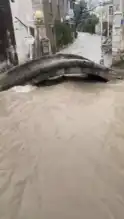 Kuvvetli Yağış Ege Bölgesinde Su Baskınlarına Yol Açtı