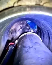 Foça'da Kanal Borusunda Sıkışan Yavru Köpek Kurtarıldı